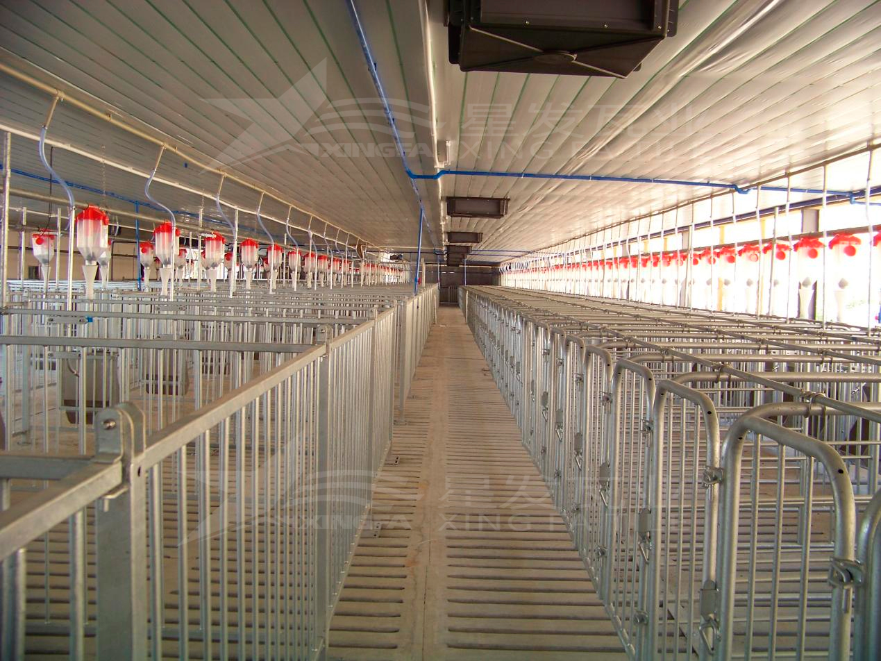 高溫來(lái)襲，養(yǎng)殖場(chǎng)安裝樹(shù)脂瓦，為小動(dòng)物營(yíng)造避暑勝地