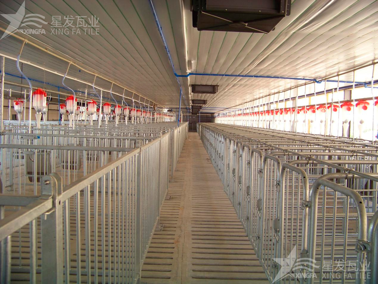 炎炎夏日即將來臨，為什么養(yǎng)殖場越來越多地選擇PVC瓦？