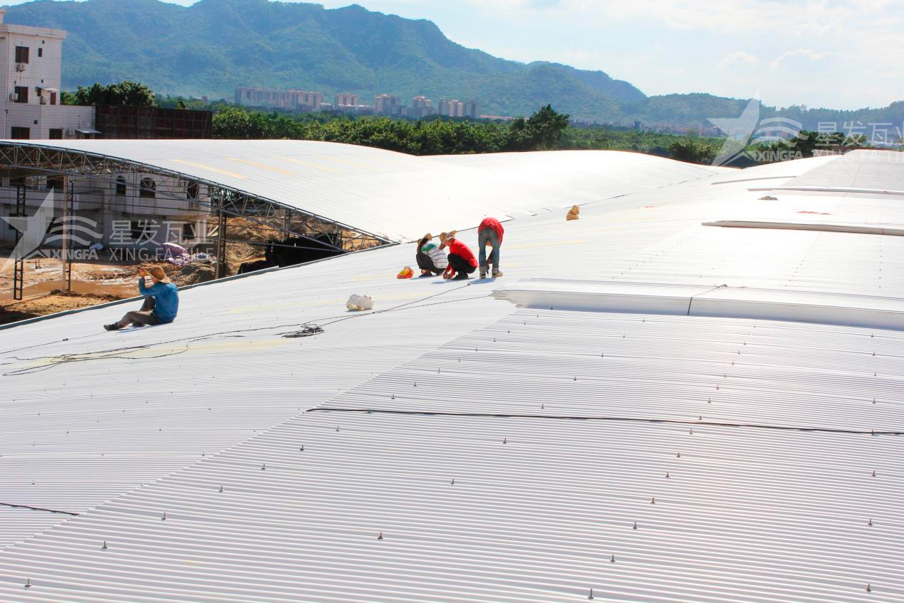 樹脂瓦漏水？不要慌，這些方法能夠快速解決問題！