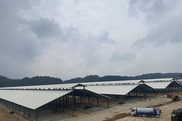 延長PVC瓦使用壽命的三大關(guān)鍵因素，千萬別忽視！