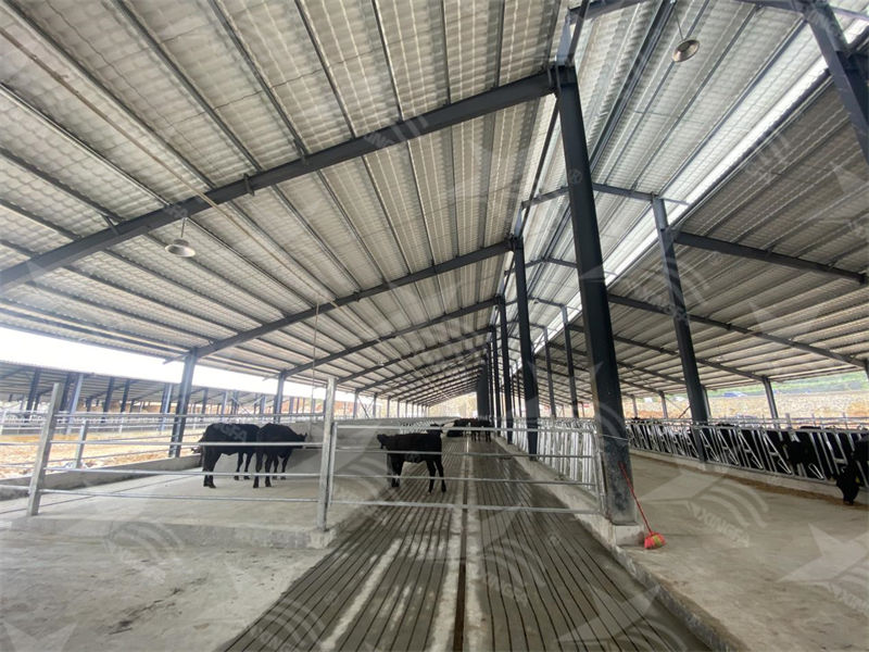 樹脂瓦：養(yǎng)殖場(chǎng)的夏日守護(hù)者，為小動(dòng)物打造涼爽樂園